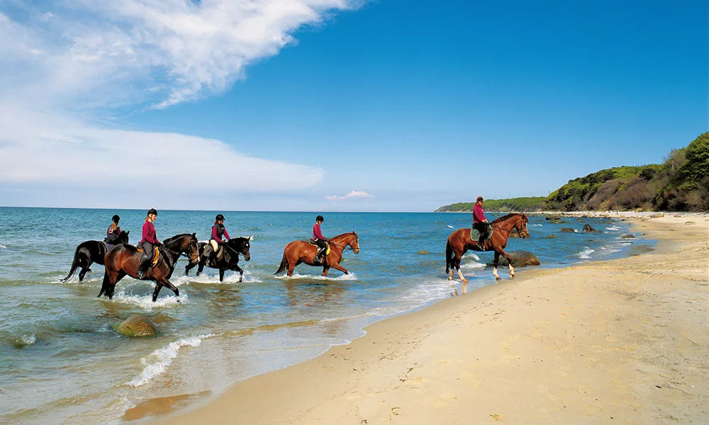 Reiten-am-Strand _Foto: TMV/Grundner
