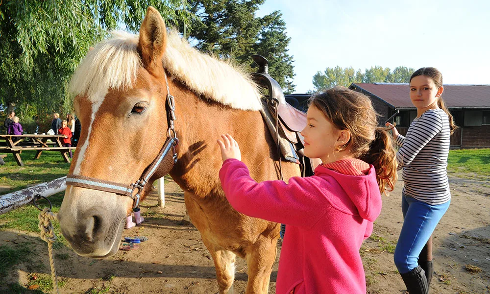 Reitunterricht - Foto: TMV/Duerst