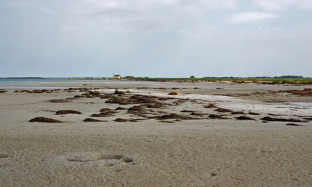 Der Insel Poel vorgelagerte Vogelschutzinsel Langenwerder